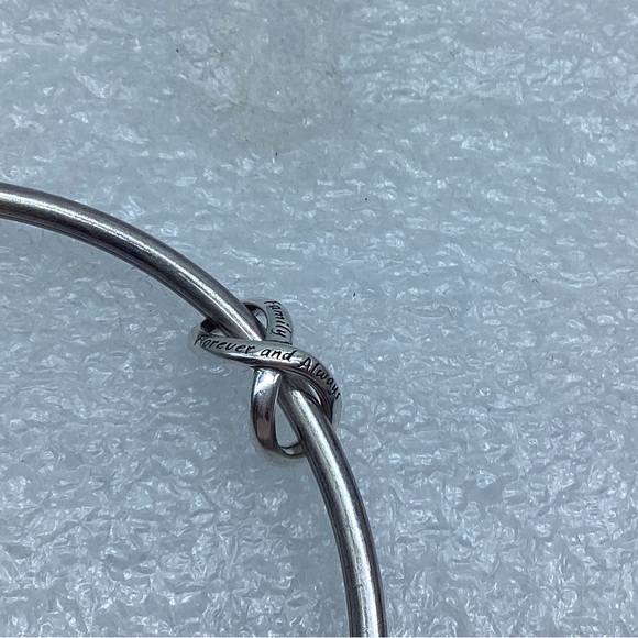 Pandora,”Family Forever & Always Infinity ” S925ALE, Charm #793243C00 A8-7 - Picture 2 of 5